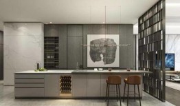 深圳爆料大事件视频,揭秘城市热点背后的真相